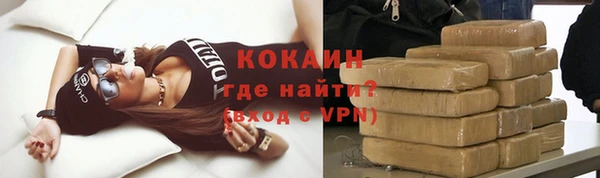 сатива Осинники