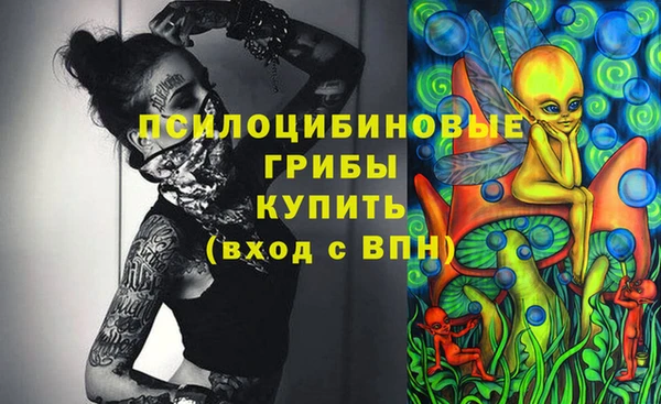 бутират Алексеевка