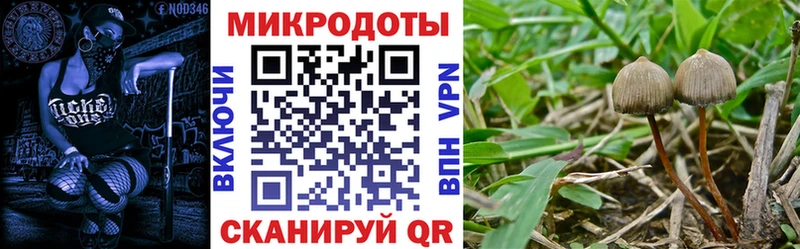 как найти наркотики  Набережные Челны  Псилоцибиновые грибы GOLDEN TEACHER 
